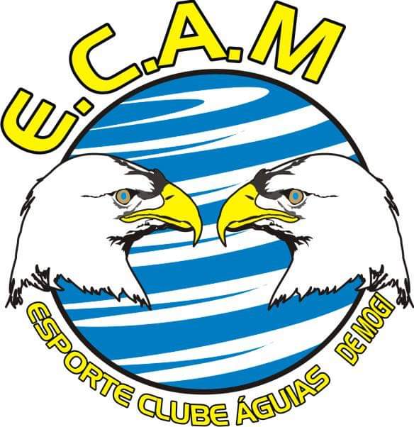 ECAM